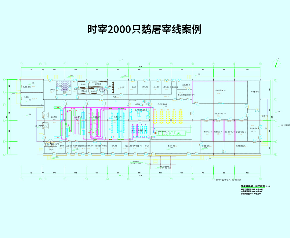 時(shí)宰2000只鵝屠宰線(xiàn)案例