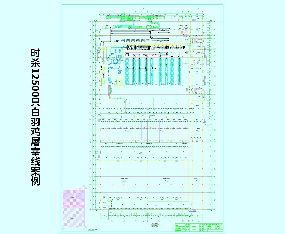 時(shí)殺12500只白羽雞屠宰線(xiàn)案例