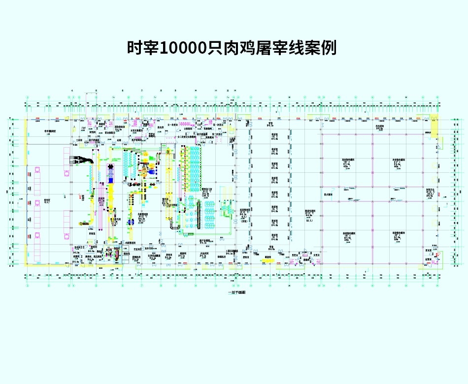 時(shí)宰10000只肉雞屠宰線案例