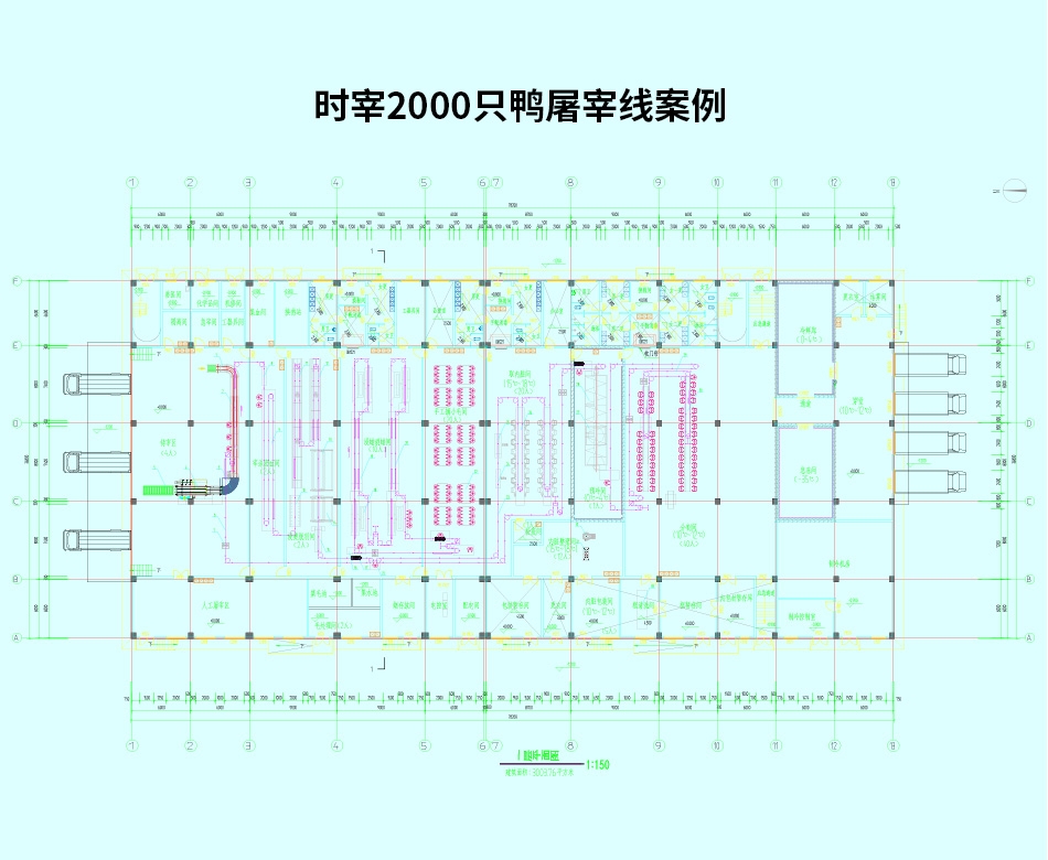 時(shí)宰2000只鴨屠宰線案例