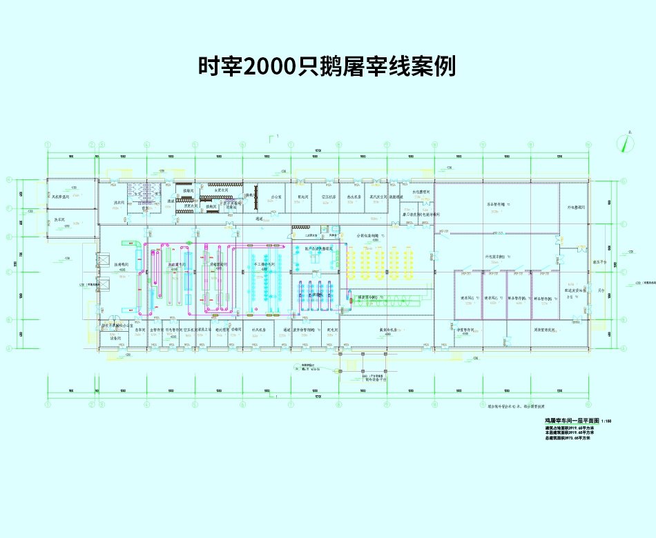 時(shí)宰2000只鵝屠宰線案例