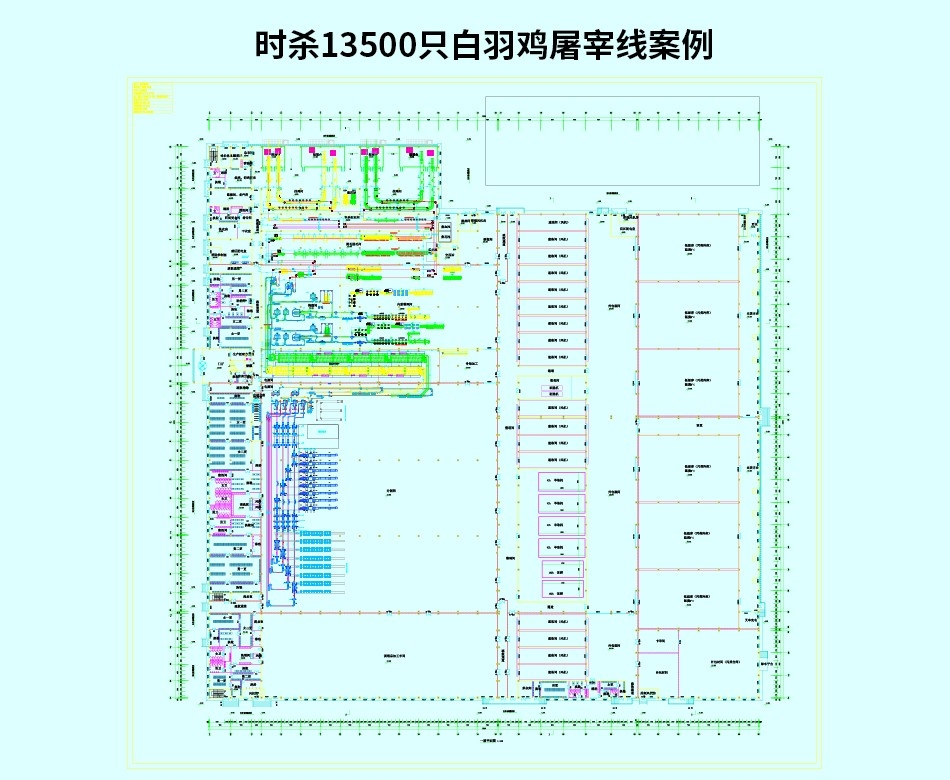 時(shí)殺13500只白羽雞屠宰線案例